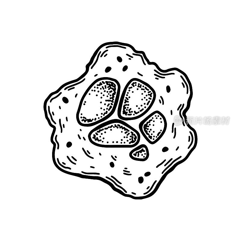 白底巨核细胞分离的血细胞。手绘科学微生物载体插图素描风格