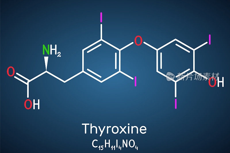 甲状腺素，T4，左甲状腺素分子。它是甲状腺激素，甲状腺素T3的原激素，用于治疗甲状腺功能减退。深蓝色背景上是结构化学式。