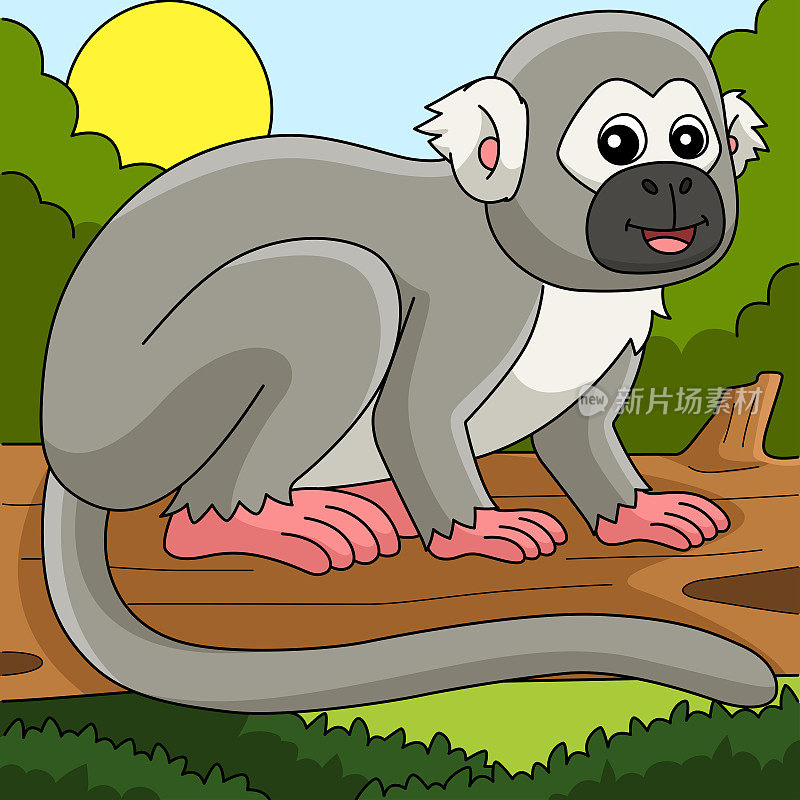 松鼠猴子动物彩色卡通