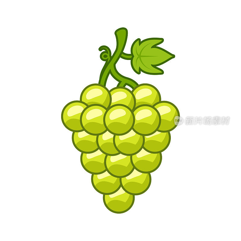 葡萄插图。