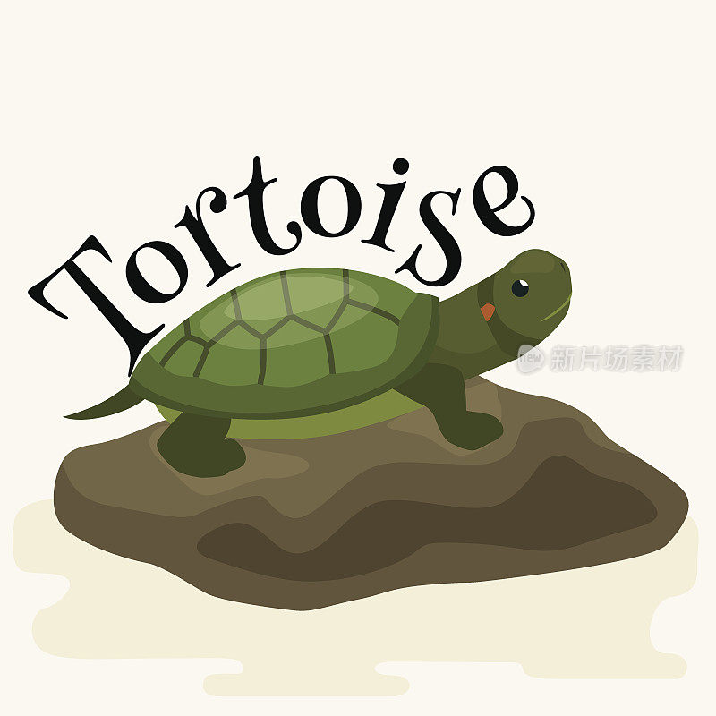 乌龟宠物为家，爬行动物矢量插图