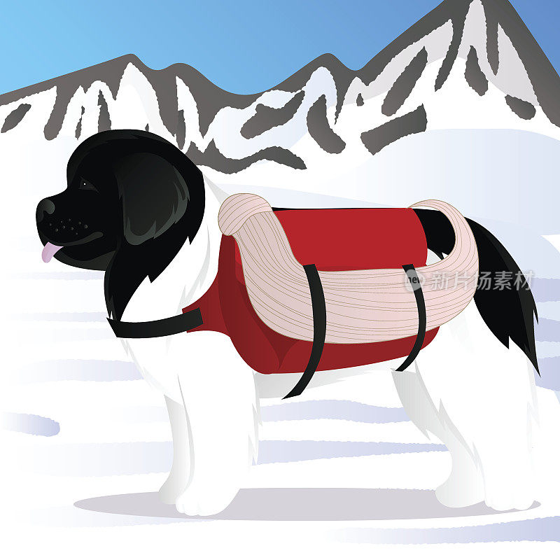 纽芬兰狗在山区的救生员