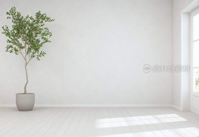 室内植物木地板与空白的白色混凝土墙背景，树靠近门在明亮的客厅现代斯堪的那维亚房子