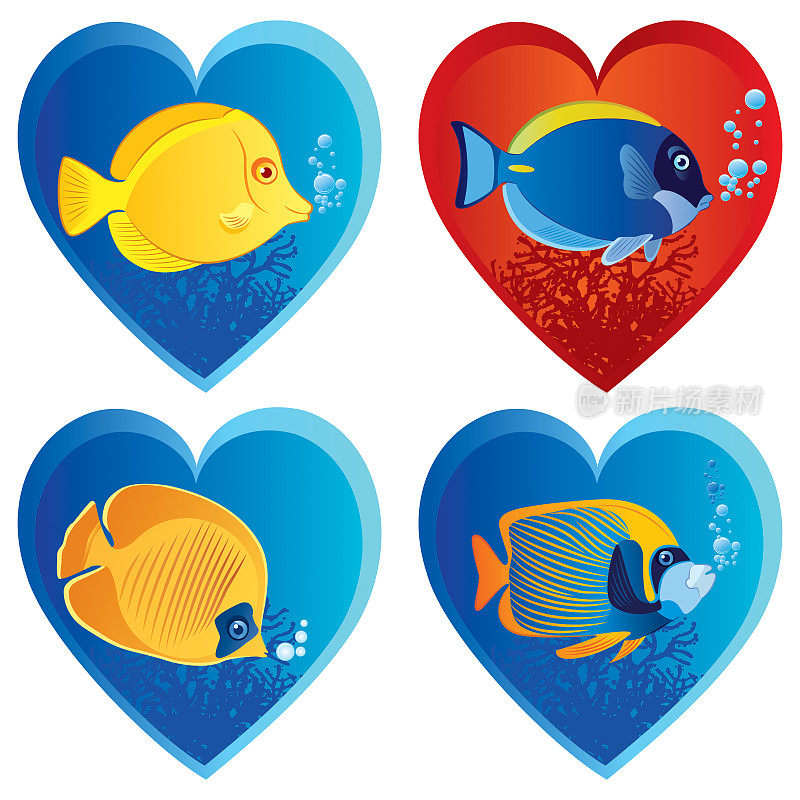 热带鱼和爱情