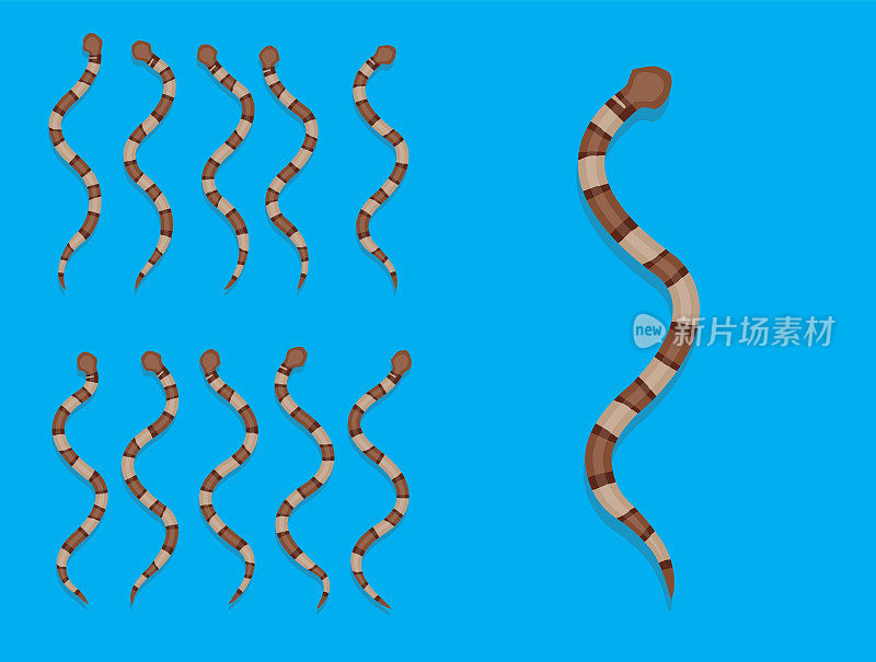 动物动画序列铜头蛇卡通矢量