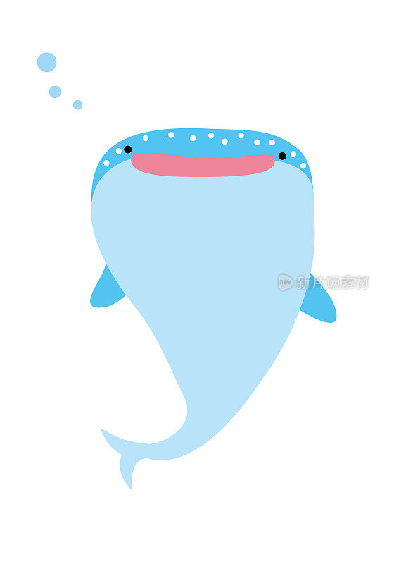 鲸鲨插图3