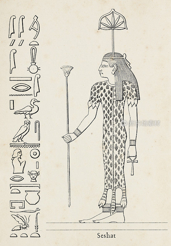 古埃及塞萨特建筑女神的象形文字