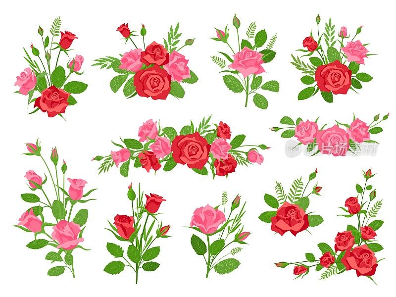 卡通粉色和红色玫瑰花束与叶子和草。复古浪漫的花束，有鲜花和花蕾。玫瑰装饰向量集