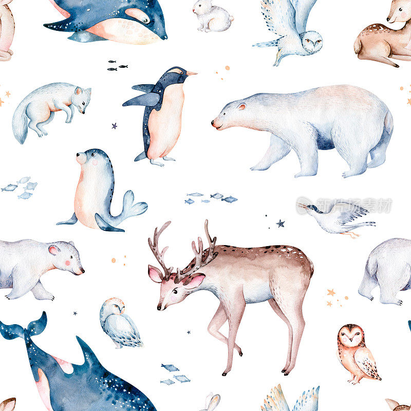 无缝水彩图案苗圃极地北极动物水彩收集集。雪鸮。驯鹿。北极熊。狐狸企鹅、海象。海豹，狗头鲸，野兔鲸