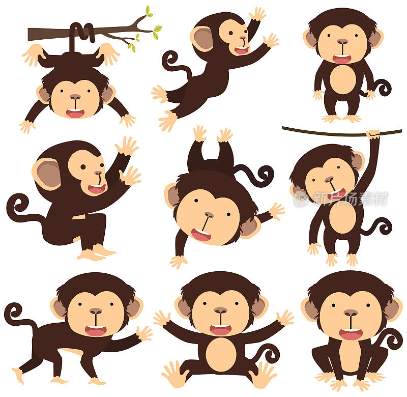 可爱的卡通猴子不同的姿势设置
