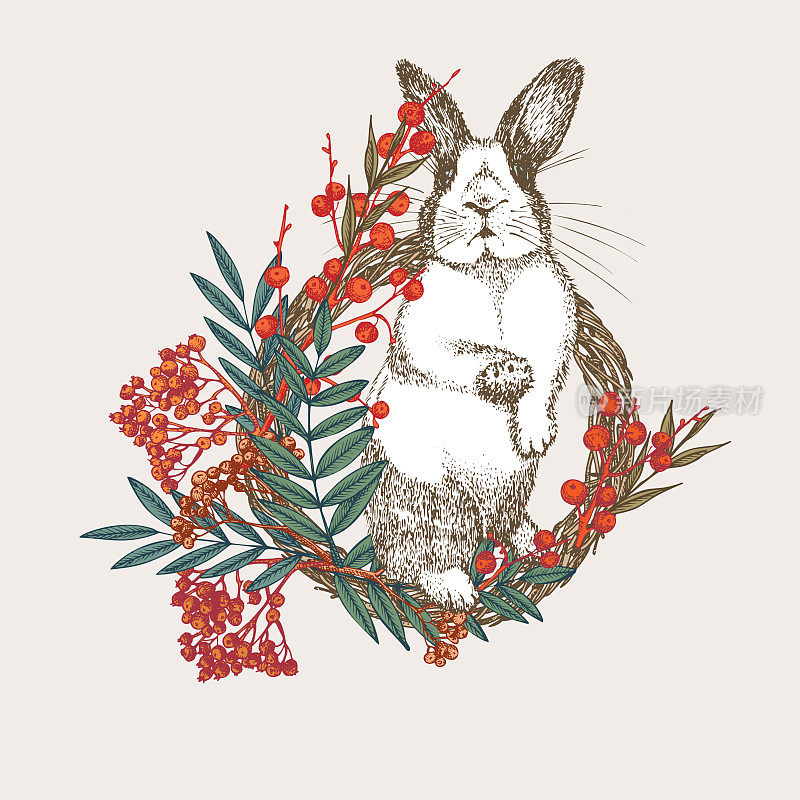 眼睛周围有黑点的白兔。中国新年的象征兔。坐在圣诞花环上的兔子。新年贺卡在温暖的颜色。手绘雕刻草图。向量