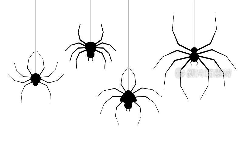 万圣节蜘蛛网载体。白色背景下的黑蜘蛛。危险的昆虫。恐怖的横幅，恐怖的海报。蜘蛛网孤立装饰库存插图。十月假期传单