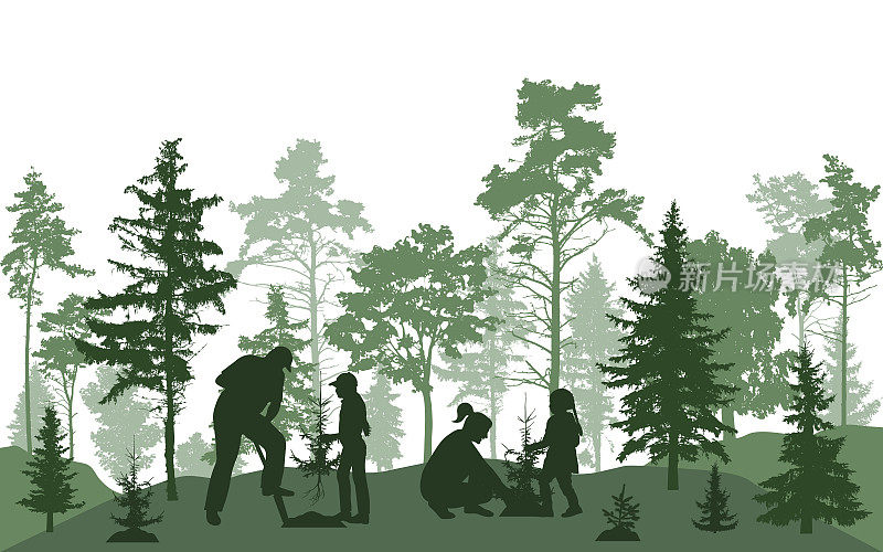 植树造林。男人、女人和孩子们正在森林里种植冷杉树，剪影。矢量图