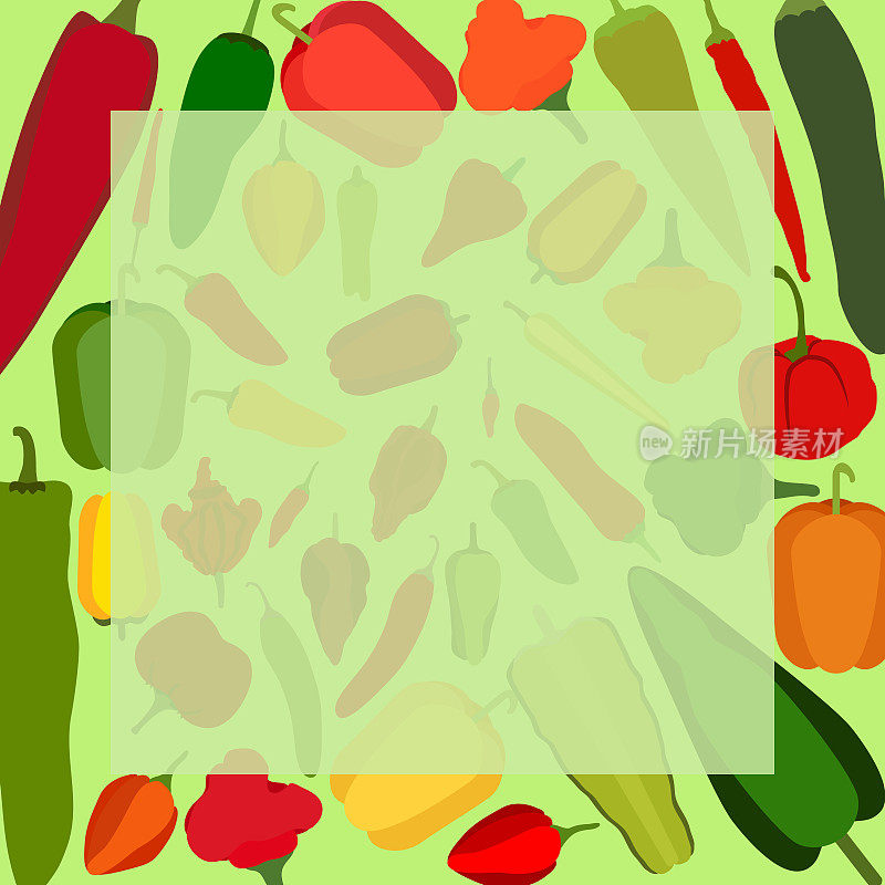 方形横幅与不同类型的辣椒。甜，微辣，中辣，超级辣的辣椒。蔬菜。平的风格。矢量插图隔离在绿色背景上。模板。