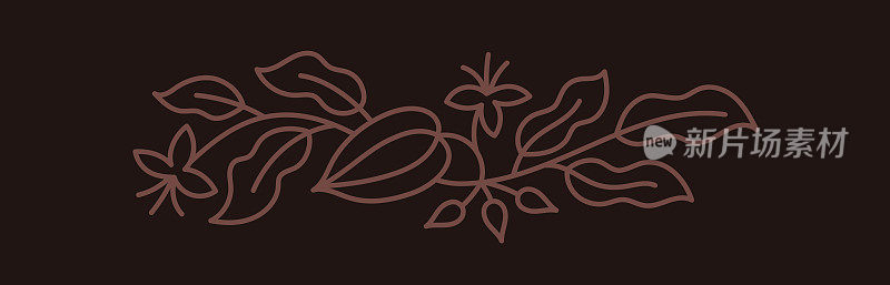 巧克力糖果盒设计元素。可可豆。豆子和枝叶。可编辑的轮廓笔画。矢量线。