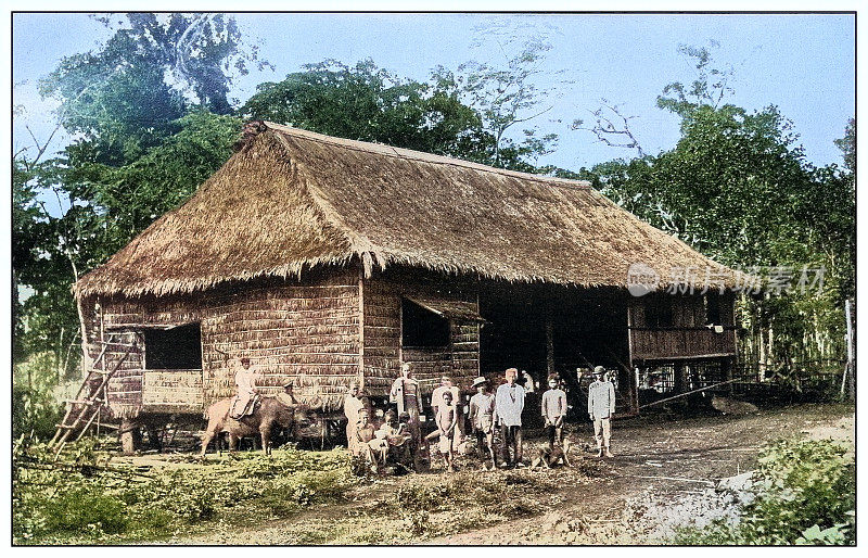 古董黑白照片:农舍，吕宋岛，菲律宾