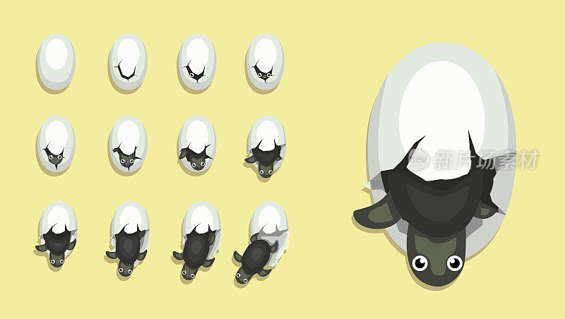 动物动画序列蛋孵化小海龟卡通向量