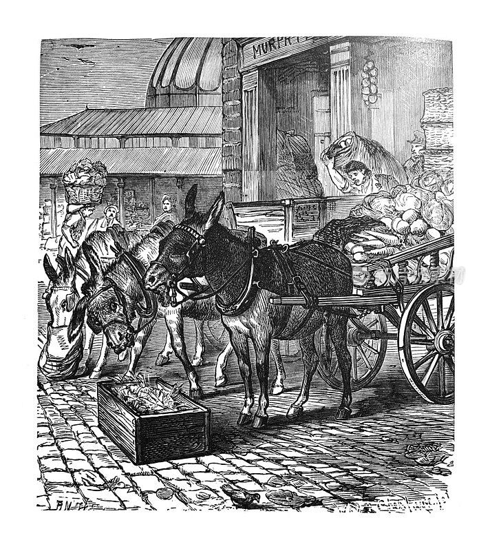 古董儿童图画书插图-三头驴与推车在蔬菜市场