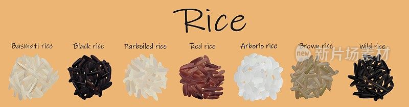 米黑色，红色，印度香米，棕色，野生，半煮，阿伯里奥。3D矢量插图，大米近距离。