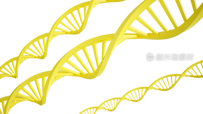 3D渲染DNA结构