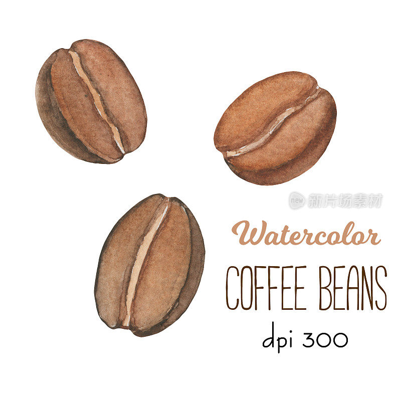用水彩在白色背景上烘培咖啡豆。深棕色的咖啡豆clipart产品设计。