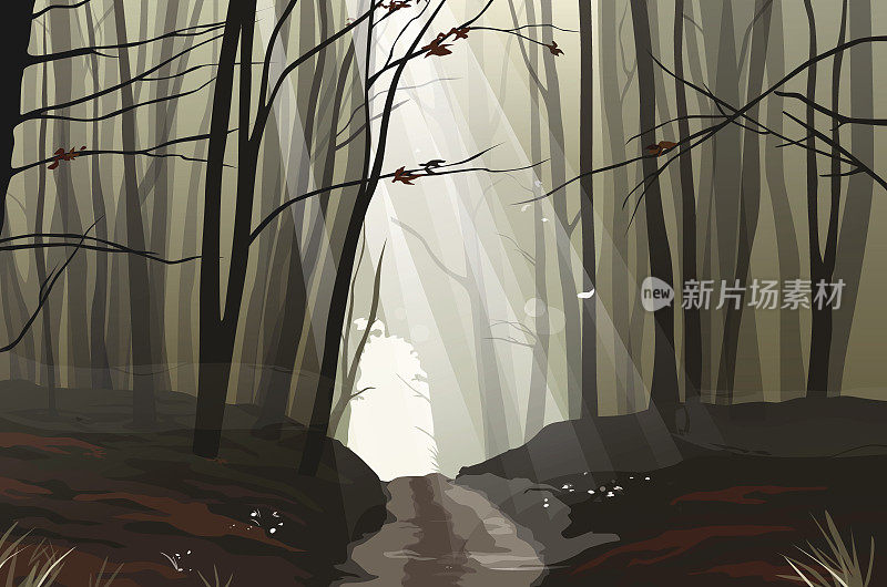 迷雾神秘的森林与树木和树枝的剪影，路径和光线的光矢量插图