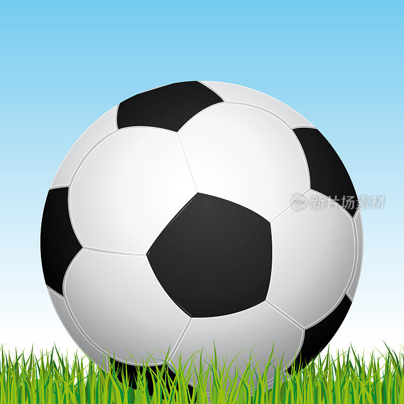 足球。体育场的草地和蓝天为背景。矢量插图。