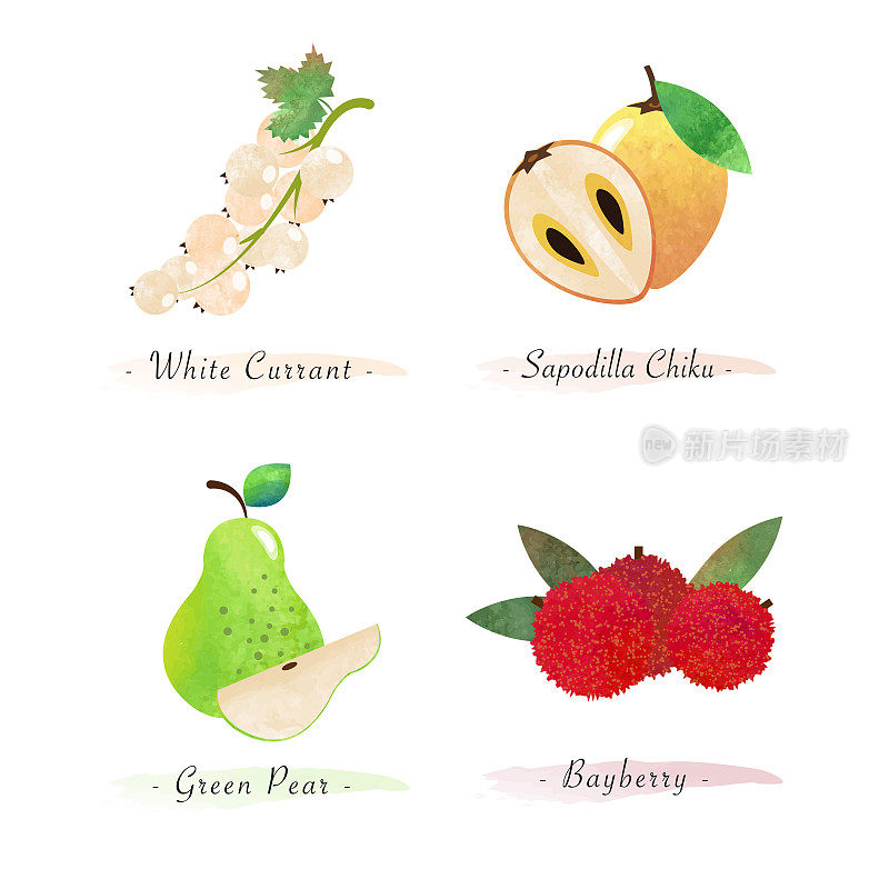 有机天然健康食品水果白醋栗、水仙花、绿梨、杨梅