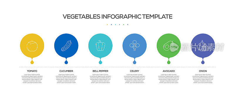 蔬菜相关工艺信息图表模板。过程时间图。带有线性图标的工作流布局