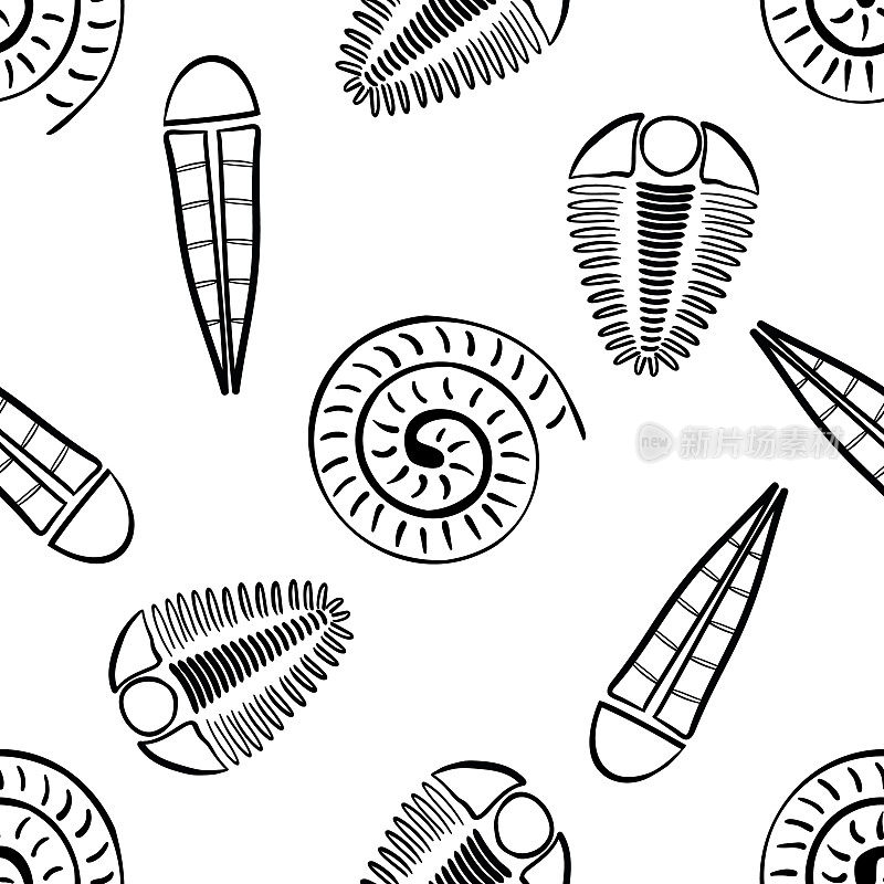 菊石三叶虫载体无缝图案背景。手画贝壳头足类，节肢动物，舌纹化石灭绝的海洋食肉动物和滤食性动物。教育