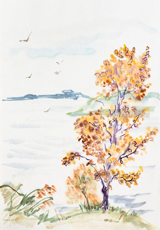 宽阔的河岸边有一棵树，是秋天的风景