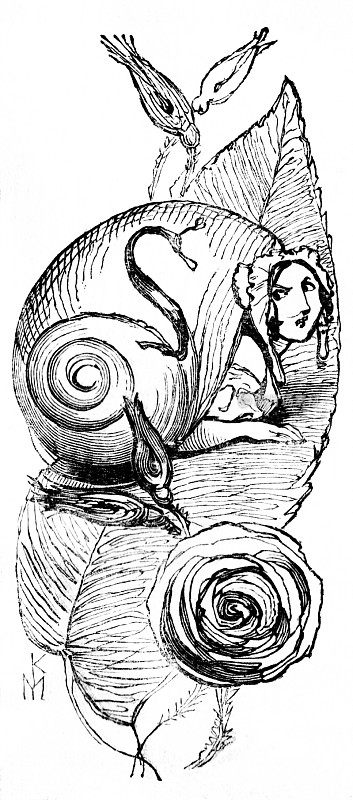 字母S代表蜗牛，壳里有个雌雄同体的女人