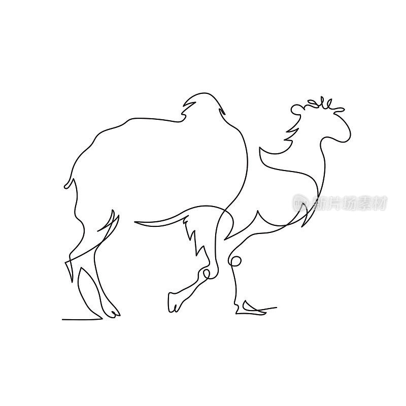 骆驼是用一条线画的。简约的图形。连续的线。