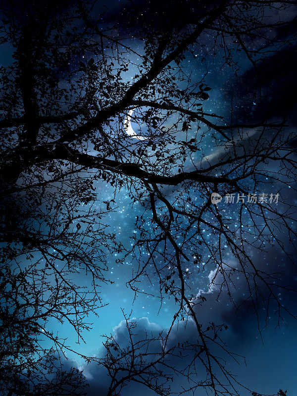 云海飘浮的夜空，神秘的月亮穿过一根老树枝的剪影。神秘的插图