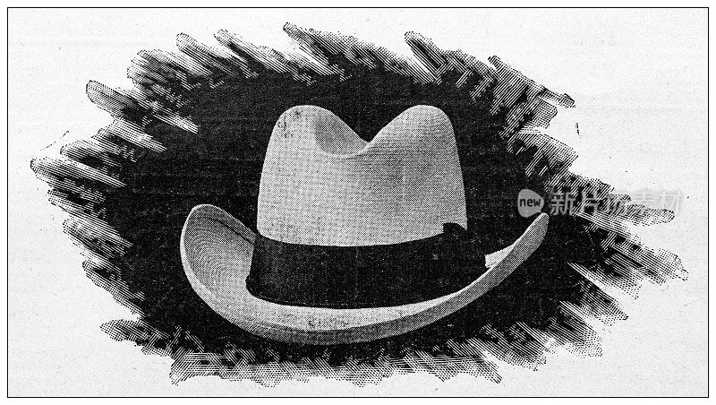 古董插图:时尚帽子