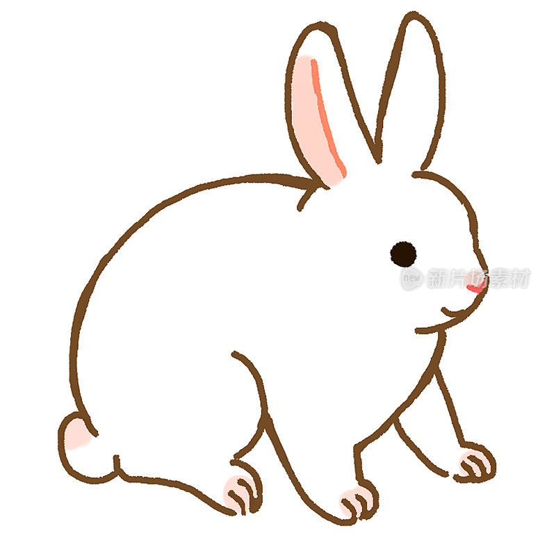 一只白兔的插图