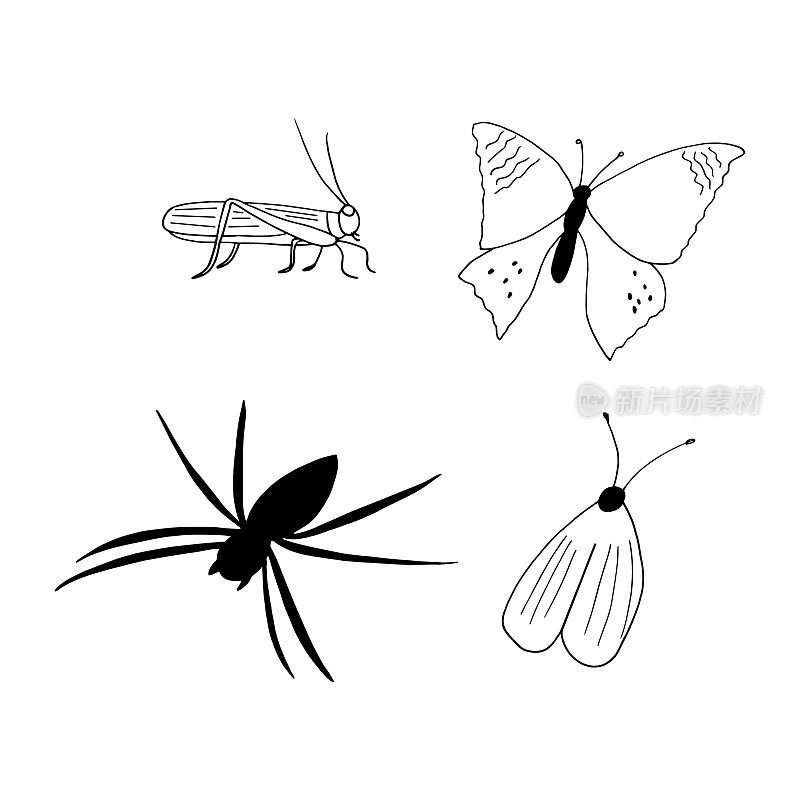 蜘蛛，蚱蜢，蝴蝶，蝗虫，蛾子，手绘涂鸦风格。昆虫。图标,贴纸