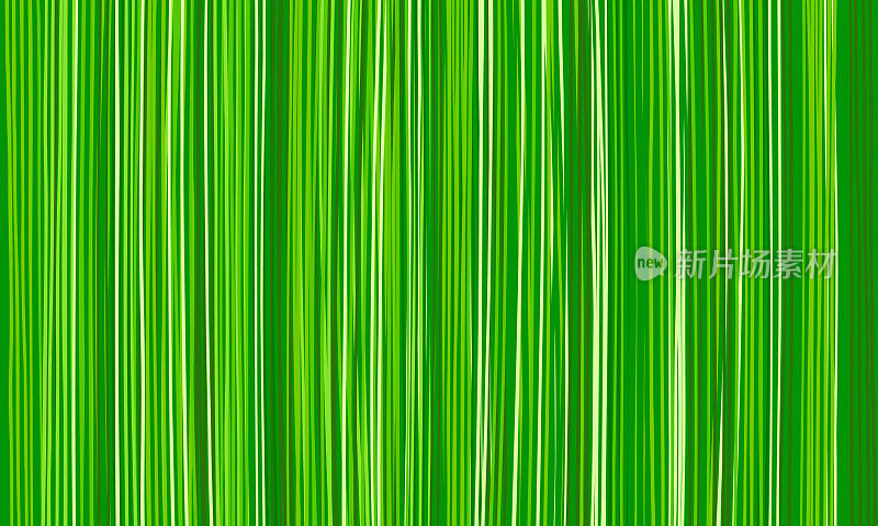 草地的背景。自然绿色的纹理来自长垂直的草叶，自然抽象条纹壁纸的条纹绿色阴影。环保的概念。设计地球日横幅和传单
