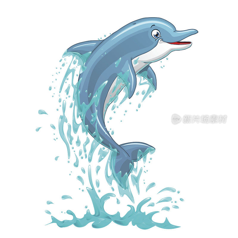 海豚跳入水中溅起白色的水花