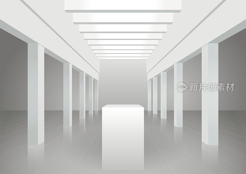 原有建筑物内部为白色，带有柱子、横梁天花板和顶灯。对称的观点。表示物体的呈现。