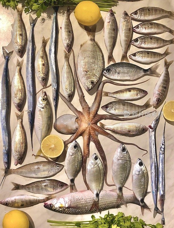 排列整齐的各种地中海新鲜鱼类和海鲜