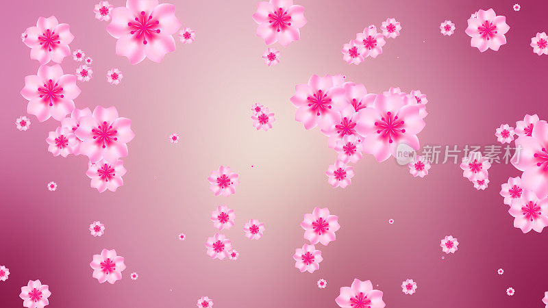 季节甜蜜浪漫的粉红色樱花樱花飘落在黄色粉红色模糊的背景