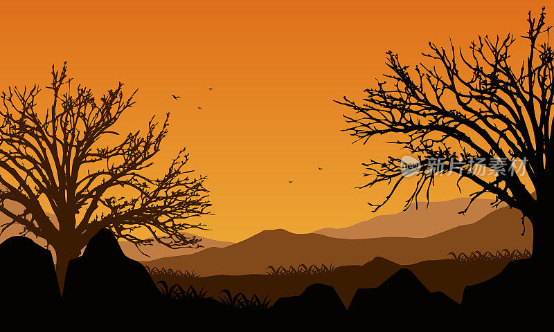 黄昏时分，在城市外的山景中，你可以欣赏到干燥松树的优美剪影
