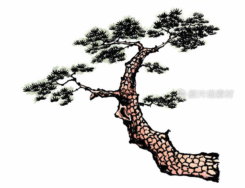 白底松树水墨画，韩国传统绘画