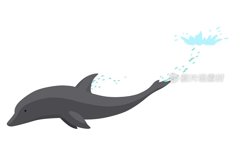 海豚跳出水面的动画元素。海豚在海洋中表演杂技跳跃的插图。非常适合海洋生物或暑假设计