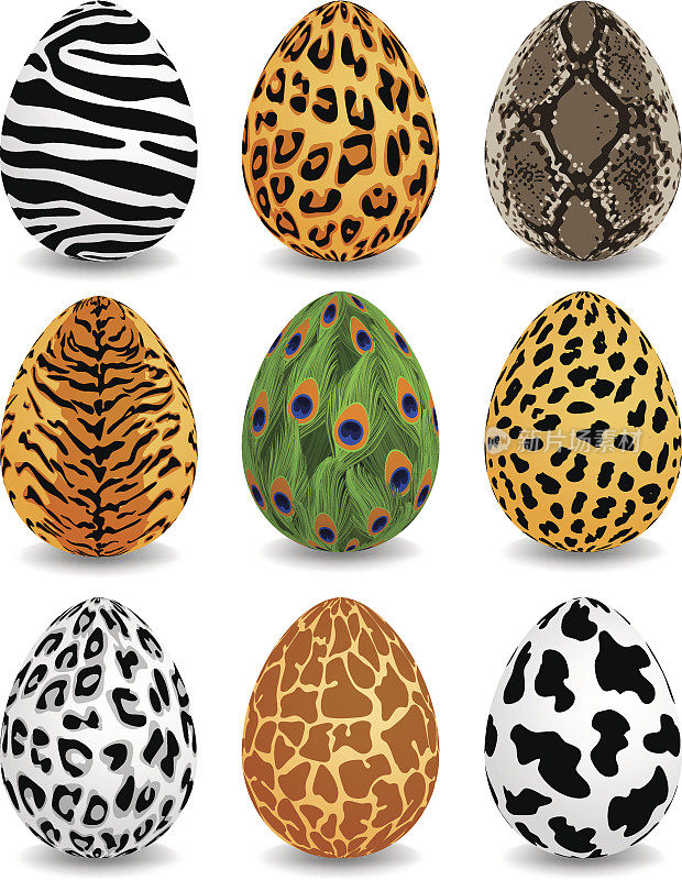 动物图案复活节彩蛋
