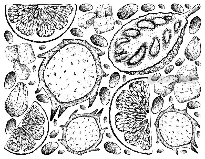 手绘的菠萝蜜，火龙果和葡萄柚背景