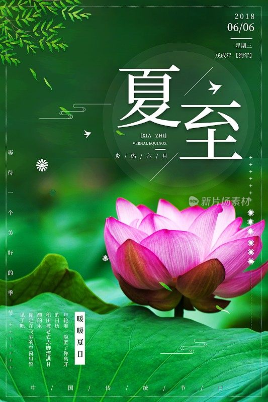 小清新二十四节气夏至海报