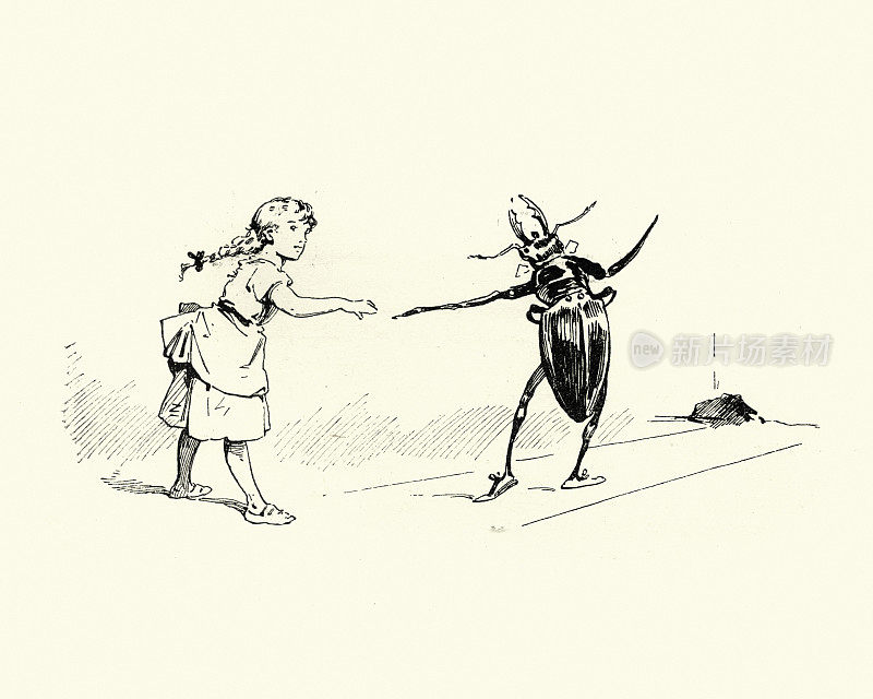 维多利亚时代的童话，小女孩和甲虫