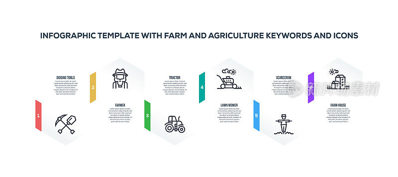 与农场和农业关键字和图标的信息图表设计模板